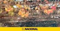 La lluvia no abandona Catalunya: pequeña tregua antes de una nueva tanda de chubascos generales