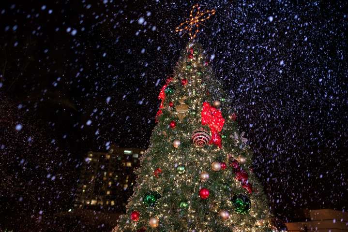 Free and cheap holiday events in Miami-Dade 2025 - South Florida on the Cheap