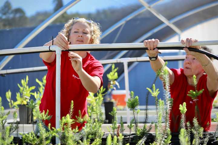 Maui Church Makes Space Amid Pews To House Fire Recovery Volunteers