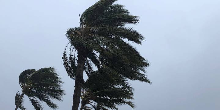 First Alert: Wind advisories posted for parts of Maui County, Hawaii Island