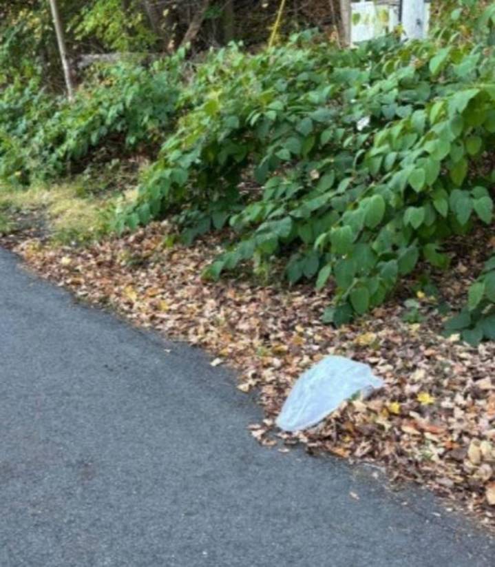 Ritualistic Killings Under Investigation In Hudson Valley, New York