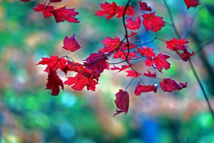 Fire risk grows for central Pa. today as winds pick up