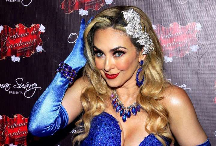 Aracely Arámbula alza la voz tras el secuestro de su perrita: “Nos ha destrozado como familia”