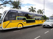 Empiezan a circular los colectivos eléctricos en la Ciudad: por dónde pasarán