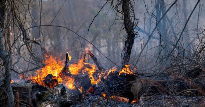 Wildfire closes parts of Skyline Drive, Appalachian Trail