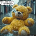 Did Storm Claudia spoil Pudsey's day?