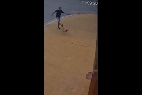 Le pegó una brutal patada a un perro, fue identificado por las cámaras y detenido por la policía