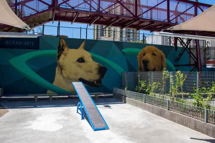 El canil de la Plaza Giordano Bruno quedó renovado tras una reforma integral