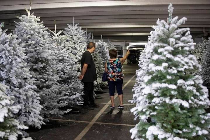 Off the news: Let the Christmas-tree buying begin