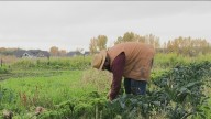 Exploring Idaho: Boise farmers share the work behind your Thanksgiving meal