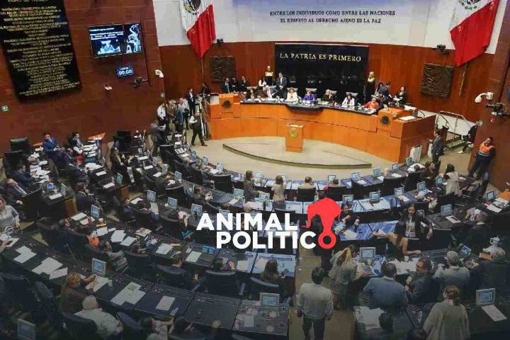 Doce magistrados de circuito pasarán a plenos regionales; Senado designará a segundos lugares