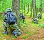 Infiltration bid foiled: Two terrorists killed in Kupwara