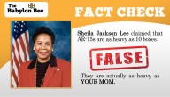 Rep. Sheila Jackson Lee Claimed AR-15s Are As Heavy As 10 Boxes. Fact Check: FALSE. They Are Actually As Heavy As Your Mom