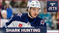 It's Time For The Winnipeg Jets To Get Their Shark HUNTING Gear Out In San Jose