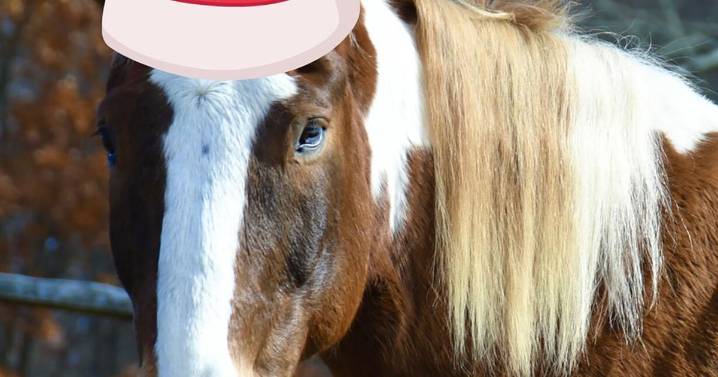 HORSE of Connecticut’s Christmas Open House December 6