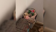 Kentucky Woman's Encounter With A Moving Stuffed Animal Takes A Surprising Turn