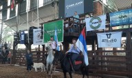 Destacan convocatoria y ventas en la Fiesta Provincial del Ganadero