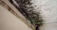 Black mould will vanish from your home if you do one thing 'for 15 minutes’