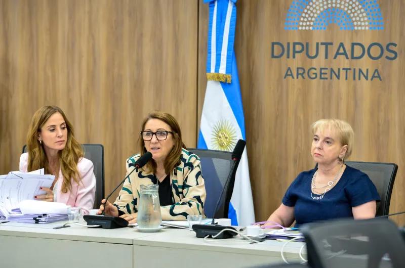 El ministro de Salud, Mario Lugones, no asistió a la Comisión investigadora por el fentanilo adulterado