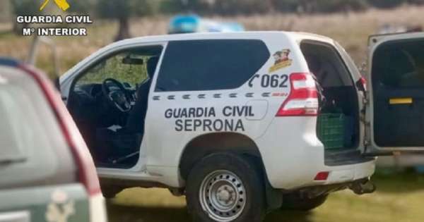 Aparecen muertos una treintena de perros de caza en la bodega de un barco en el puerto de Palma