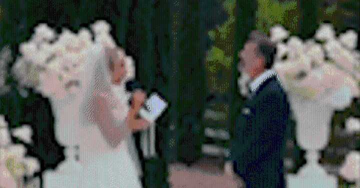 Gold Coast: Kookaburra lands on bride's head during wedding ceremony