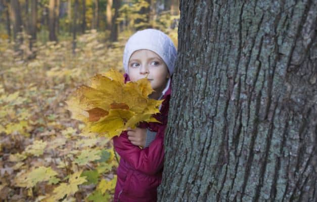 Your Mississippi forecast for Friday, November 28