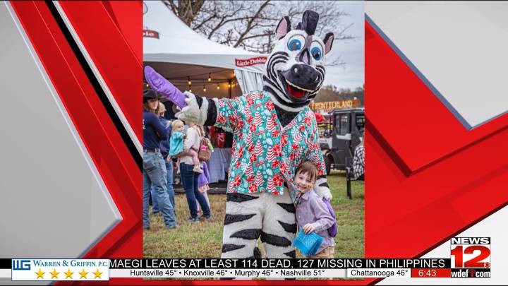 Little Debbie Hamilton County Fair returns Veterans Day weekend
