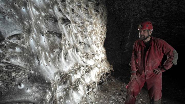 Descubren casó único de una telaraña con más de 100 mil arácnidos de dos especies distintas