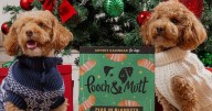 Pigs in blankets £8 advent calendar for dogs has pups 'licking their lips'