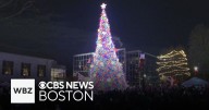Quincy residents thrilled as tree lighting marks the start of holiday season