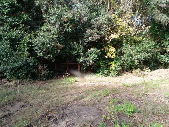 La Justicia prohibe el desmonte de los barrios Puerto Nizuc y Elcano