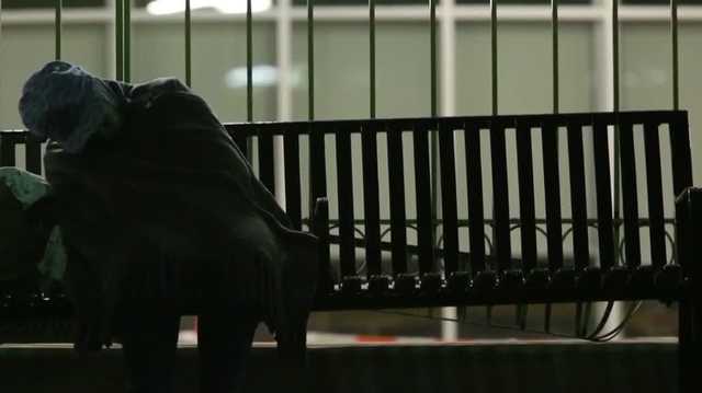 Greenville city council passes anti