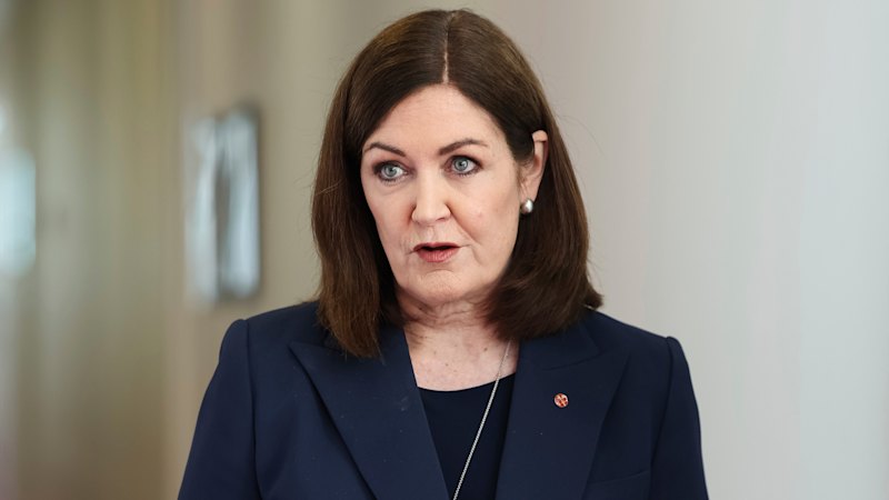 Sussan Ley Liberal leadership: Party direction slammed by Sarah Henderson but no spills expected this year