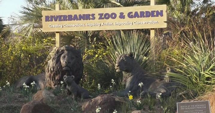Riverbanks Zoo celebrates significant milestones