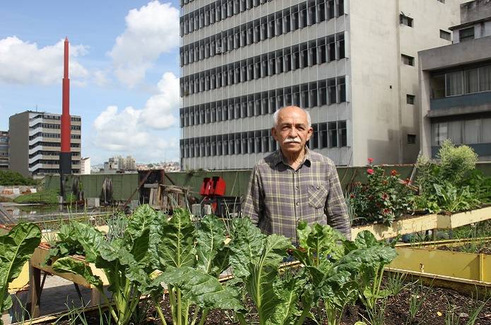 Comentarios noticiables | ¿Quién mina ideales de paz y seguridad...