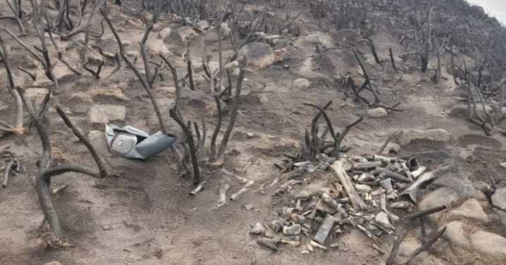 Edinburgh park rangers discover 'unusual' bones after Arthur's Seat wildfire