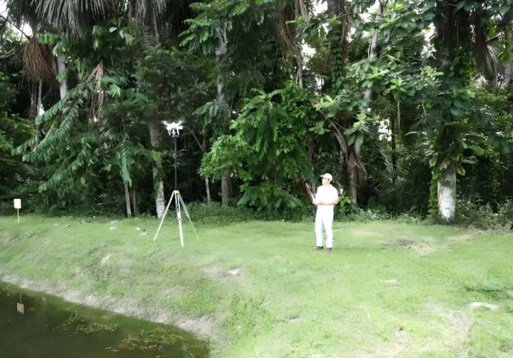 Amazonía: científicos elaboran mapas para cuidar palmeras con ayuda de drones y tecnología