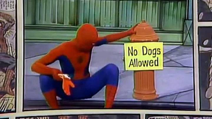 Muere el primer Spiderman en imagen real