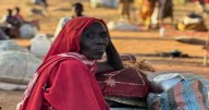 Pope Leo XIV Urges Ceasefire and Humanitarian Aid in Sudan, Calls for Peace in Tanzania