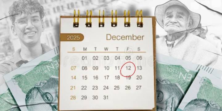 Renta Ciudadana, Colombia Mayor, Renta Joven y Jóvenes en Paz: este es el calendario de pagos antes de concluir el 2025