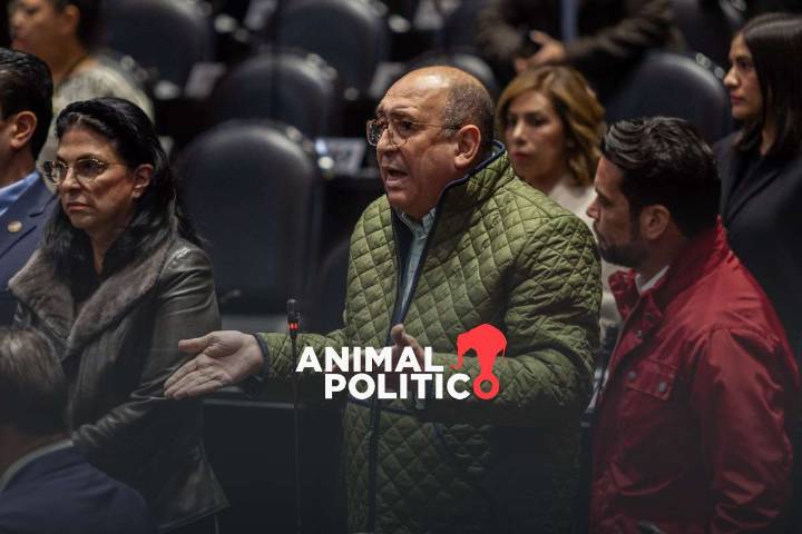 PRI denuncia a Morena por violar reglas en Diputados al invitar a influencer ; acusan "provocación"