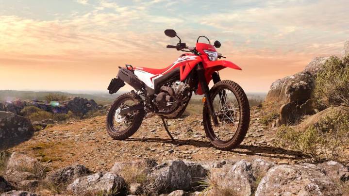 Cuánto sale la moto Honda Tornado XR 300 con precio actualizado en noviembre de 2025