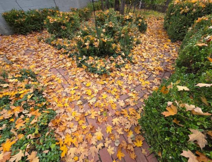 Joe's Blog: 70s return with a more active pattern (MON