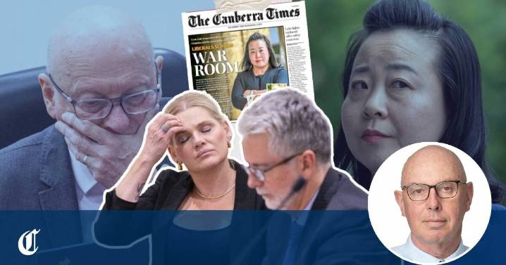 Steve Evans | What did Leanne Castley achieve as Liberal leader?