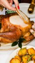 Thanksgiving turkey tips