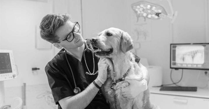 Six questions you should ask your veterinary technician during your next visit