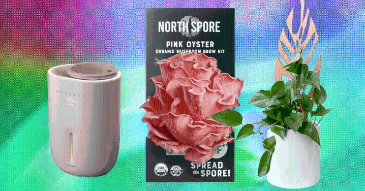 We Tried and Tested the Best Gifts for Plant Lovers With Our Own Green Thumbs