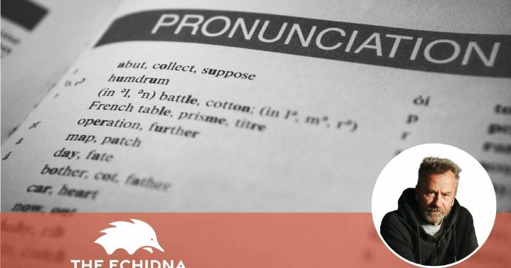 The Echidna | 2025's most Mispronounced words revealed