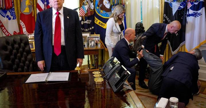 No ‘official’ portrait could capture Trump like this one