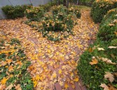 Joe's Blog: 70s return with a more active pattern (MON